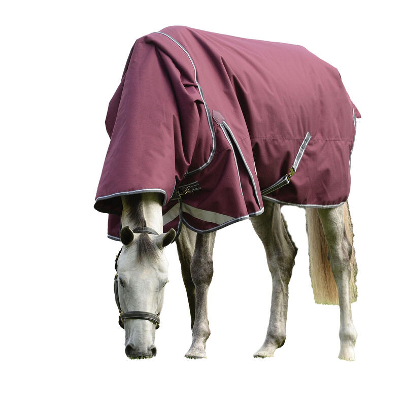 Couverture d'extérieur et couvrecou pour chevaux COMFITEC PLUS DYNAMIC (Pourpre