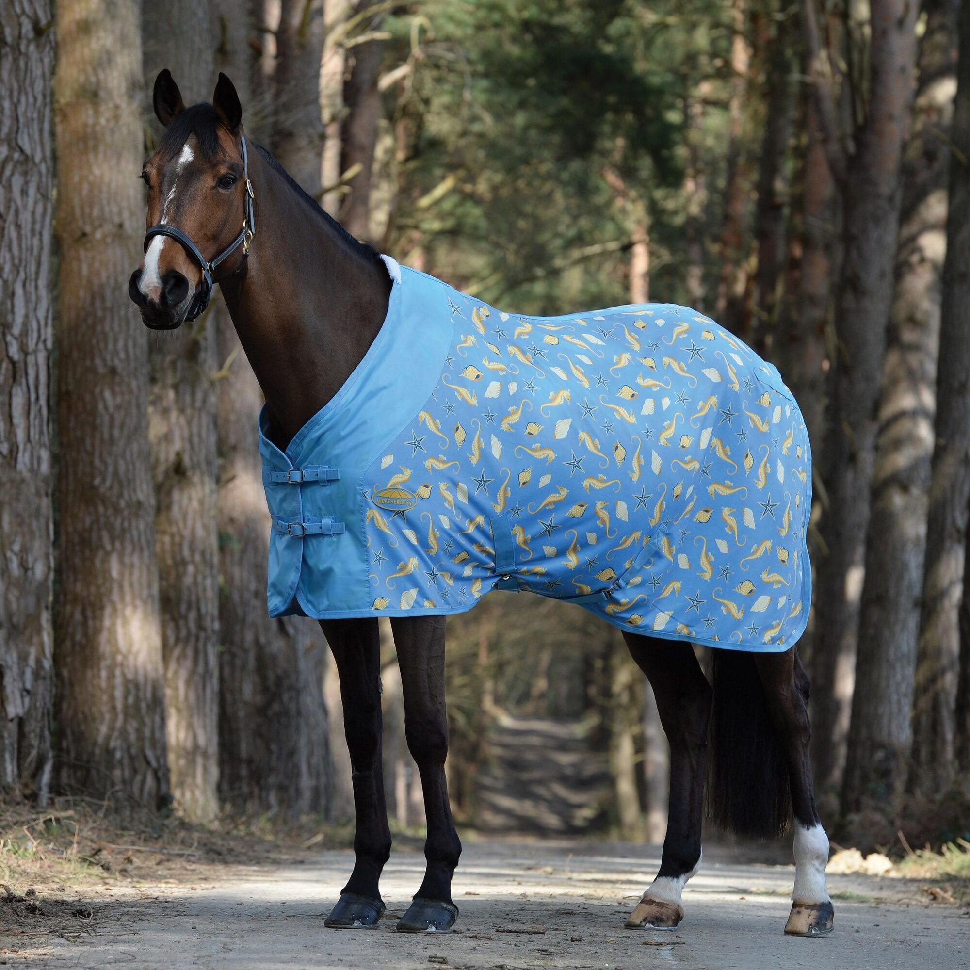 COOLER horse blanket (Blue)