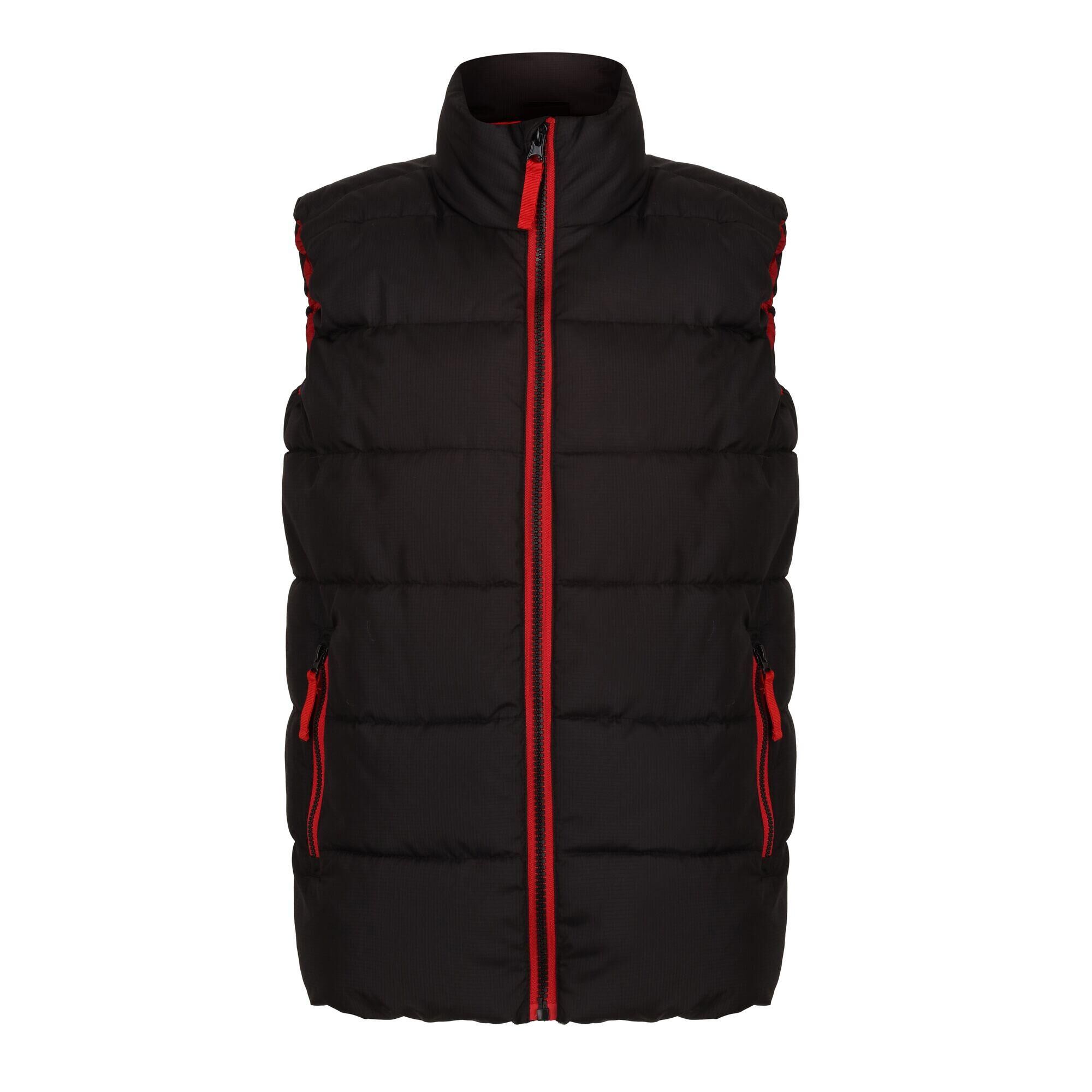 REGATTA Childrens/Kids Scholar Thermal Body Warmer (Black/Classic Red)