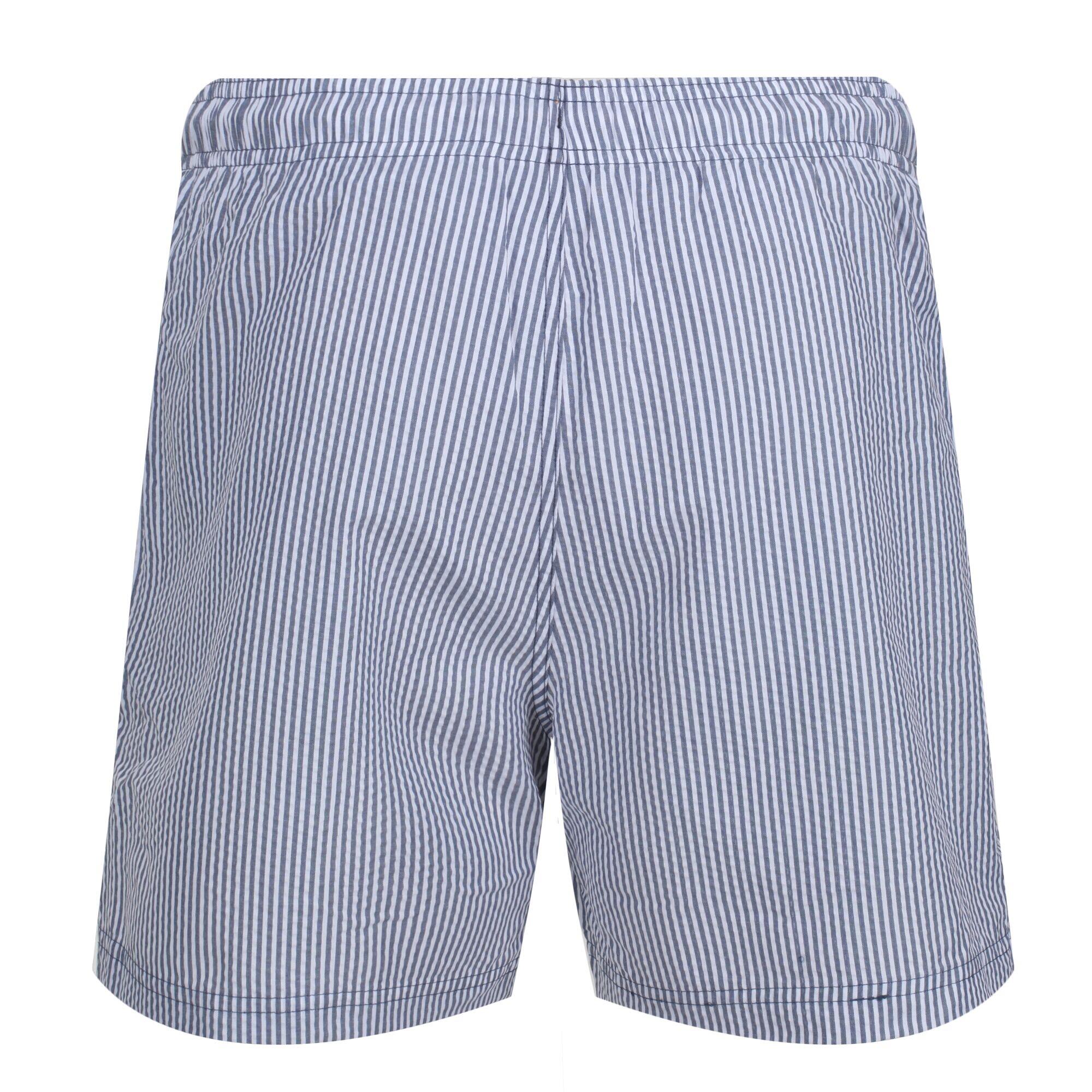 Mens Loras Stripe Swim Shorts (Dark Denim) 2/5