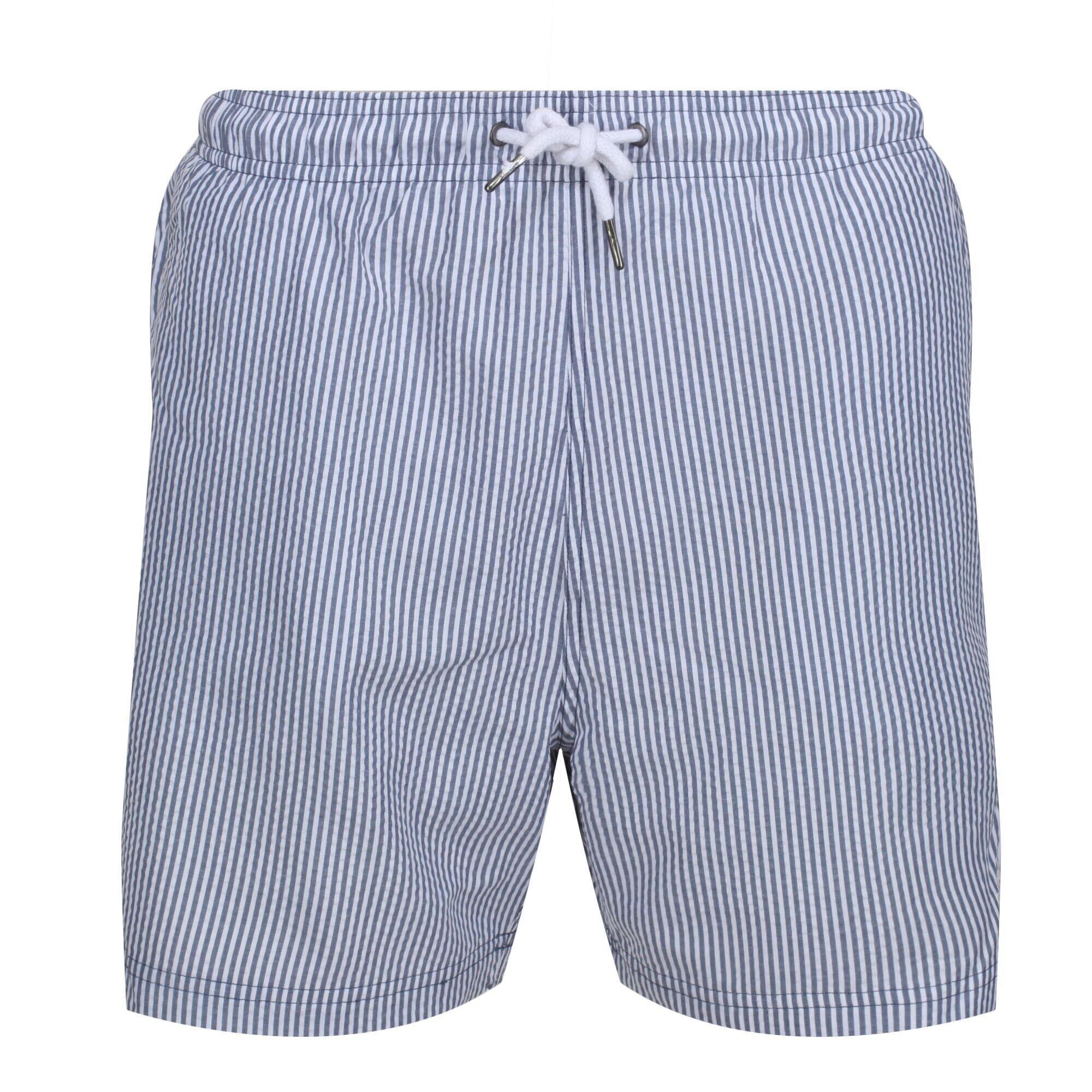 Mens Loras Stripe Swim Shorts (Dark Denim) 1/5