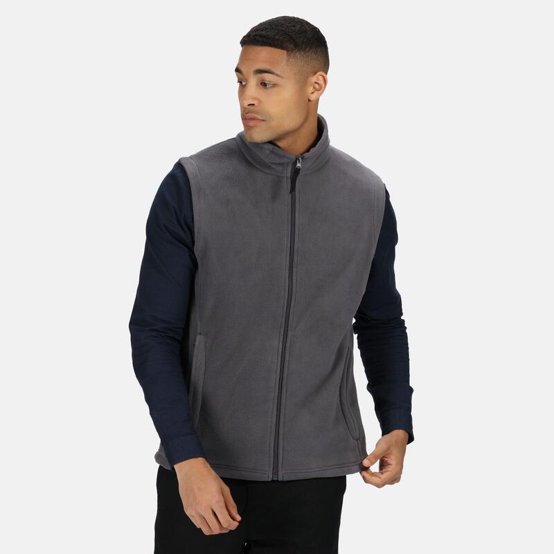 Veste Sans Manches Homme (Gris)