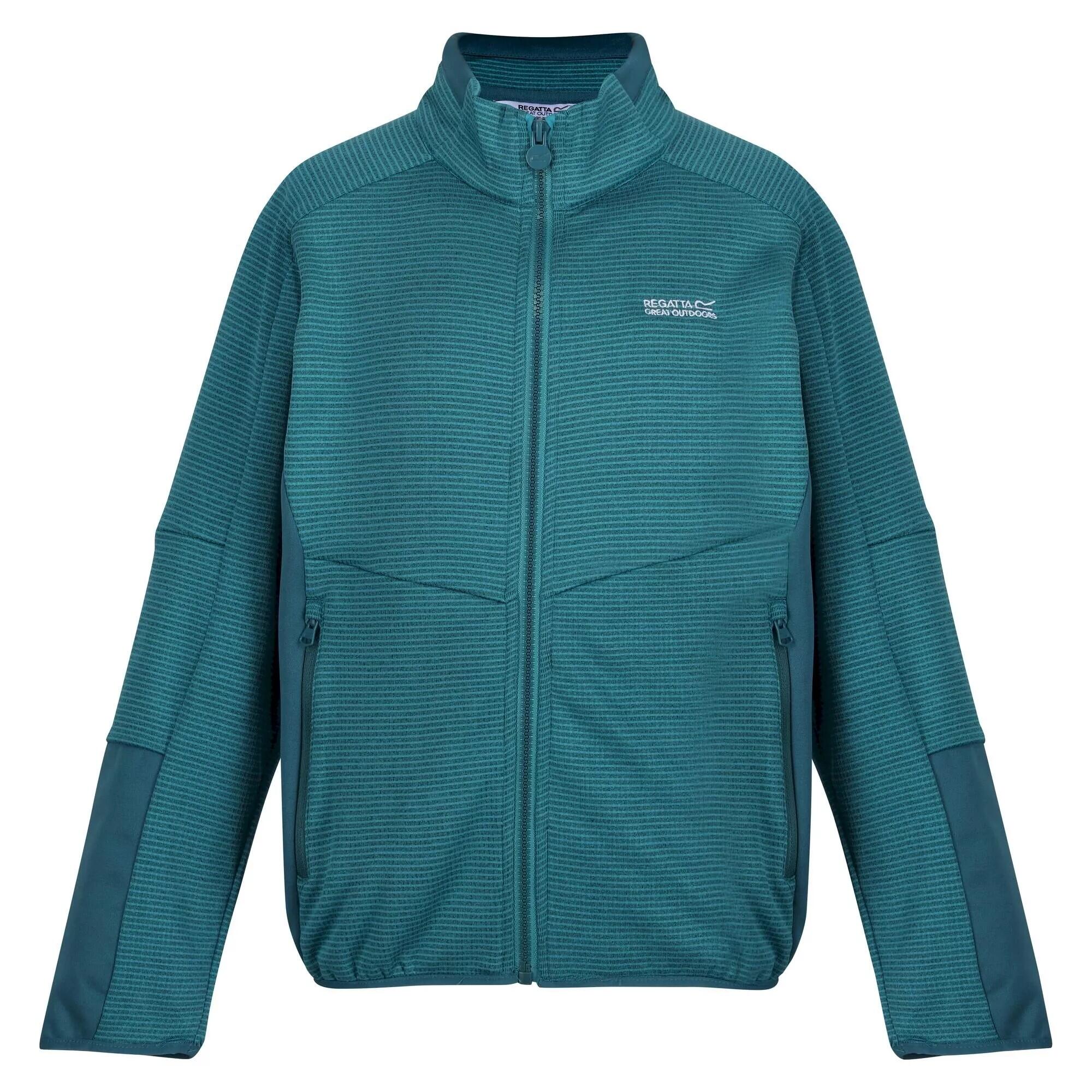 Childrens/Kids Highton III Full Zip Fleece Jacket (Pagoda Blue/Dragonfly) 1/5