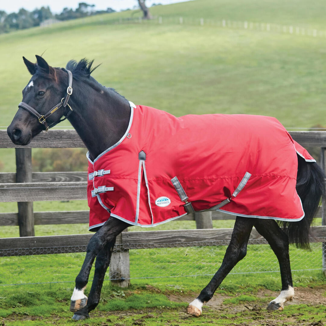 Comfitec Classic StandardNeck Medium Lightweight Horse Turnout Rug 2/2
