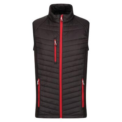 Heren gewatteerd hybride gilet (zwart/nieuw royal)