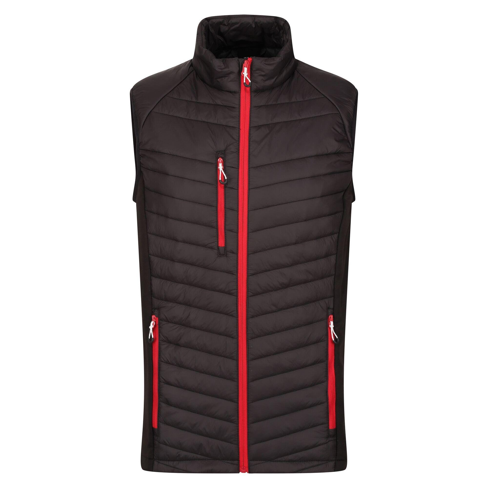 Mens Navigate Quilted Hybrid Gilet (Black/Classic Red) 1/5