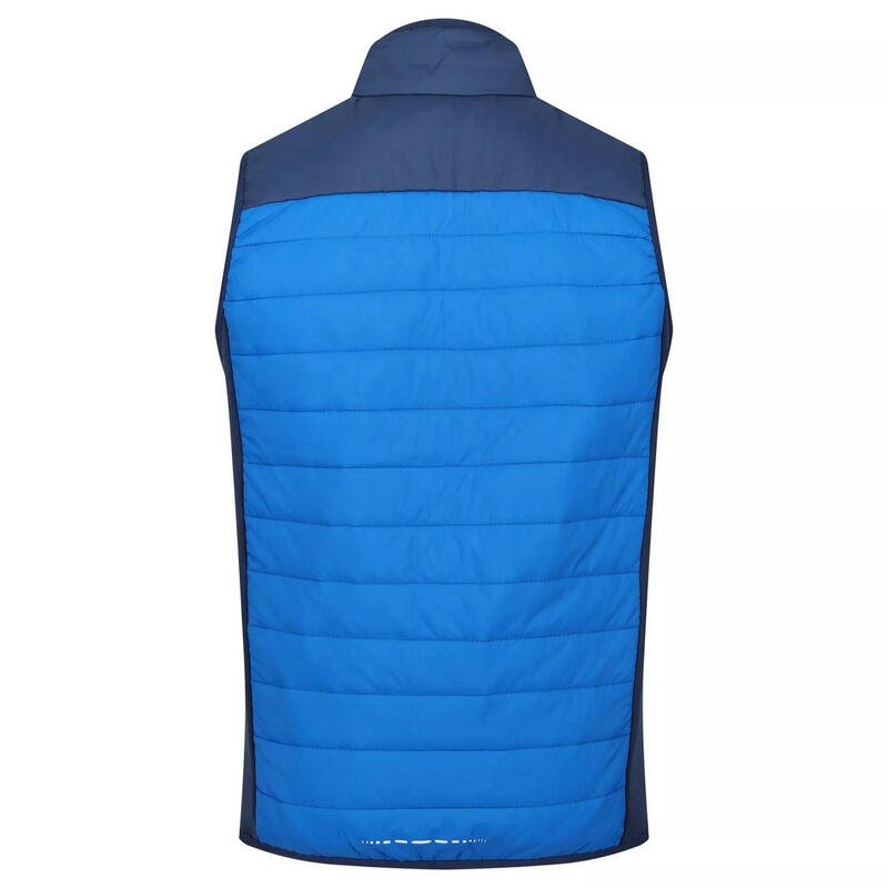 Gilet Imbottito Leggera Uomo Regatta Halton VI Blu Cielo Blu Ammiraglio