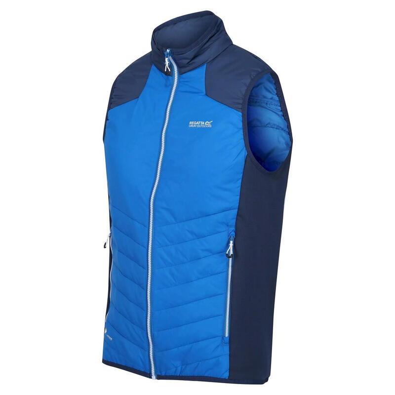 Gilet Imbottito Leggera Uomo Regatta Halton VI Blu Cielo Blu Ammiraglio