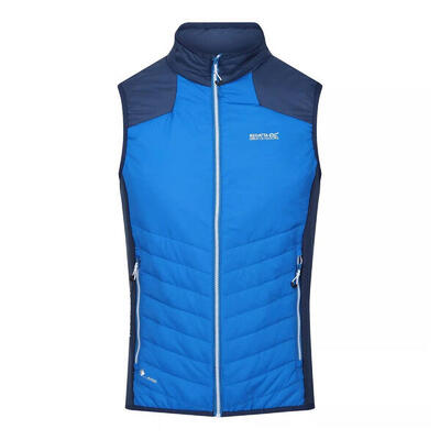 Gilet Imbottito Leggera Uomo Regatta Halton VI Kiwi Brillante Nero