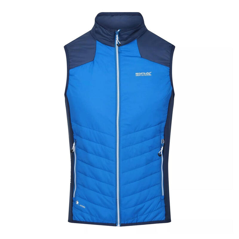 Gilet Imbottito Leggera Uomo Regatta Halton VI Blu Cielo Blu Ammiraglio