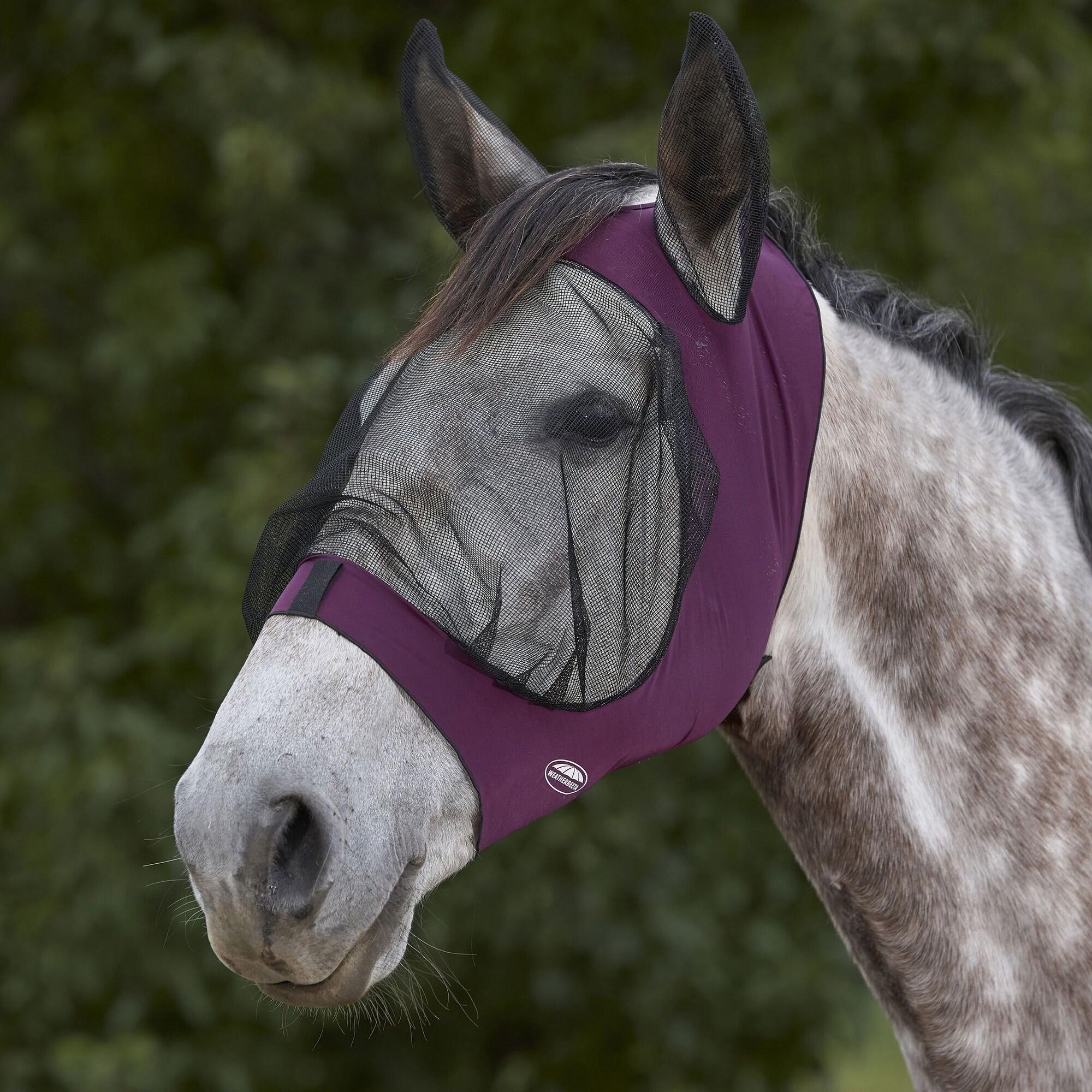 WEATHERBEETA Deluxe Stretch Horse Eye Saver With Ears (Purple/Black)