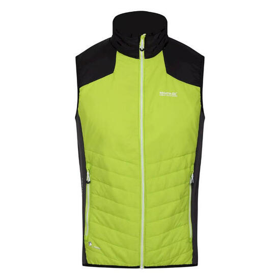 Gilet Imbottito Leggera Uomo Regatta Halton VI Kiwi Brillante Nero