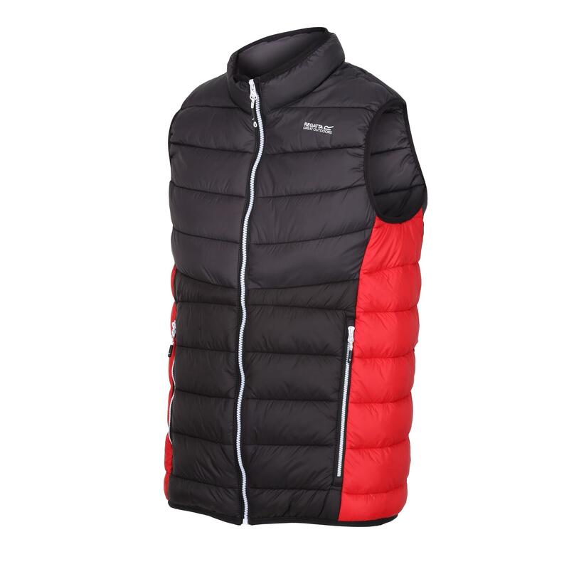 Gilet Trapuntato Uomo Regatta Harrock II Cenere Nero