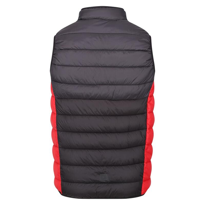 Gilet Trapuntato Uomo Regatta Harrock II Cenere Nero