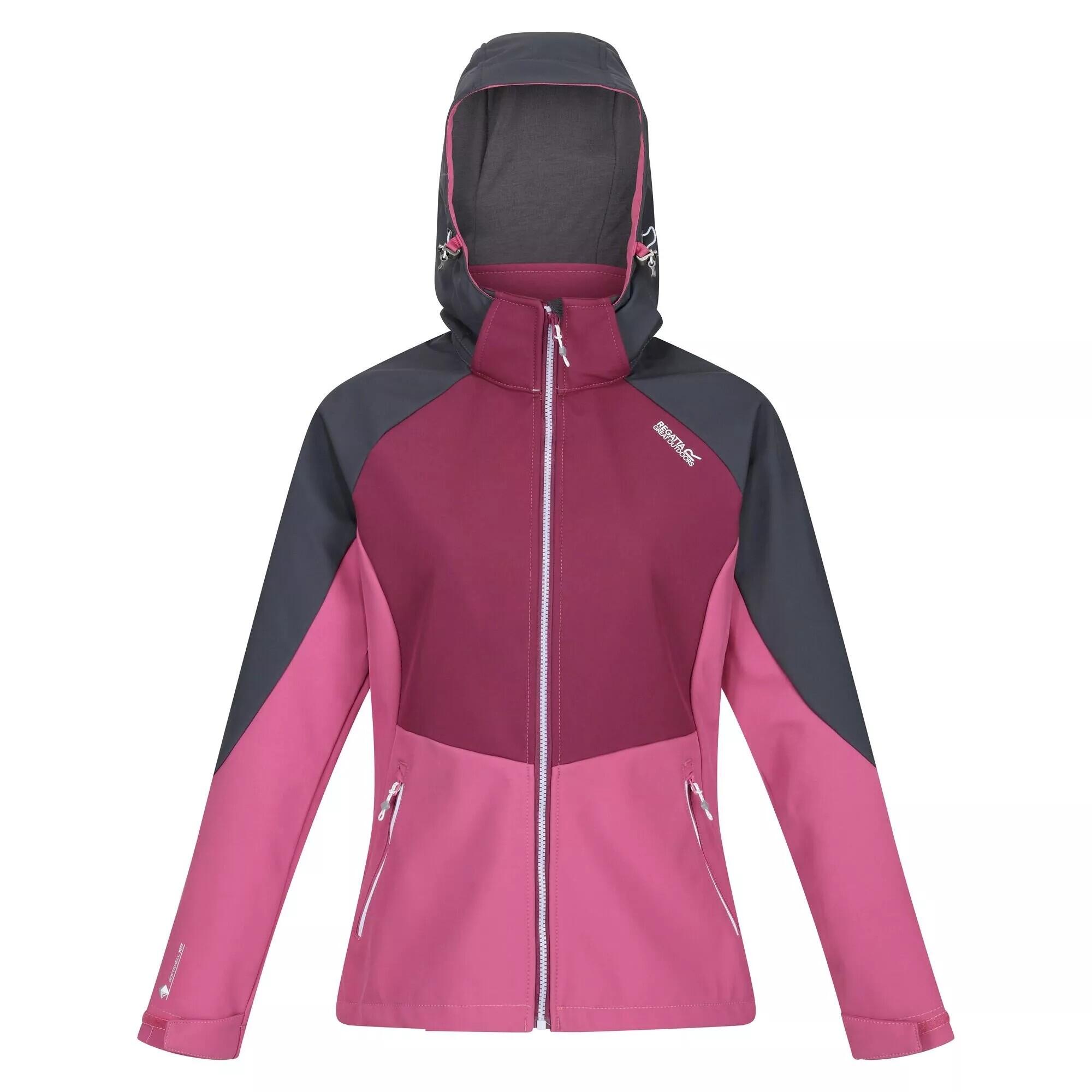 REGATTA Womens/Ladies Desoto VIII Lightweight Jacket (Seal Grey/Amaranth Haze/Violet)