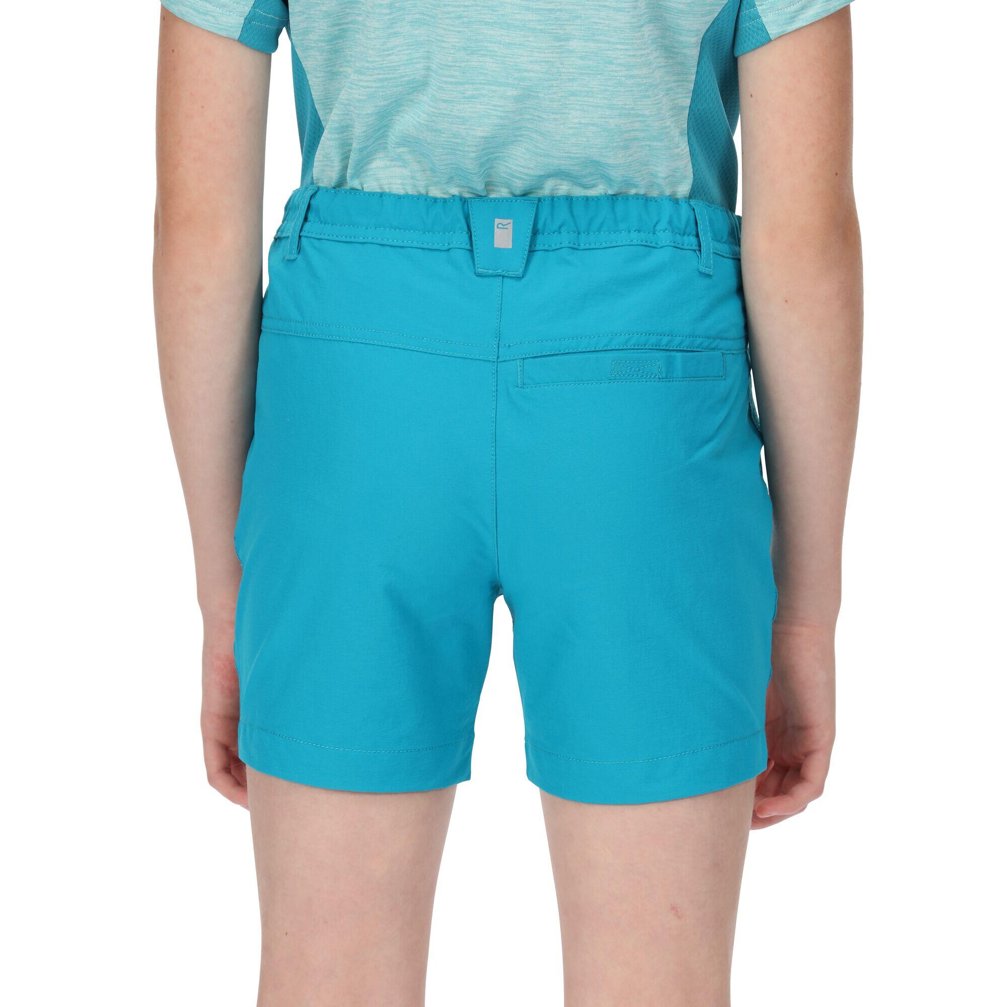 Childrens/Kids Highton Shorts (Enamel) 4/5