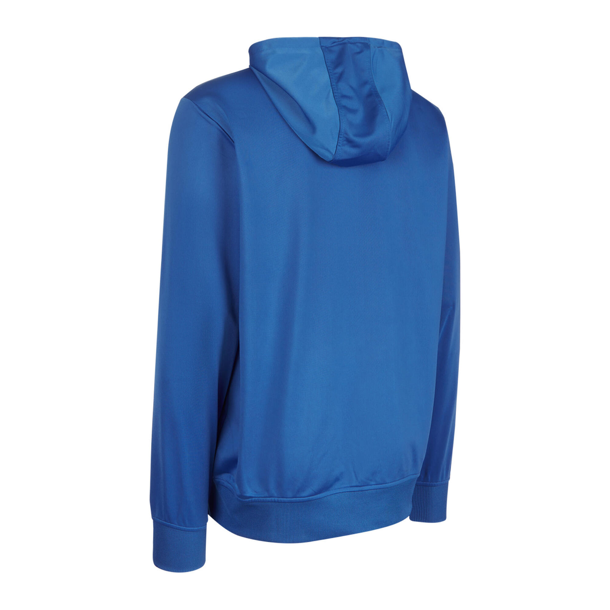 Mens Club Essential Polyester Hoodie (Royal Blue) 3/3