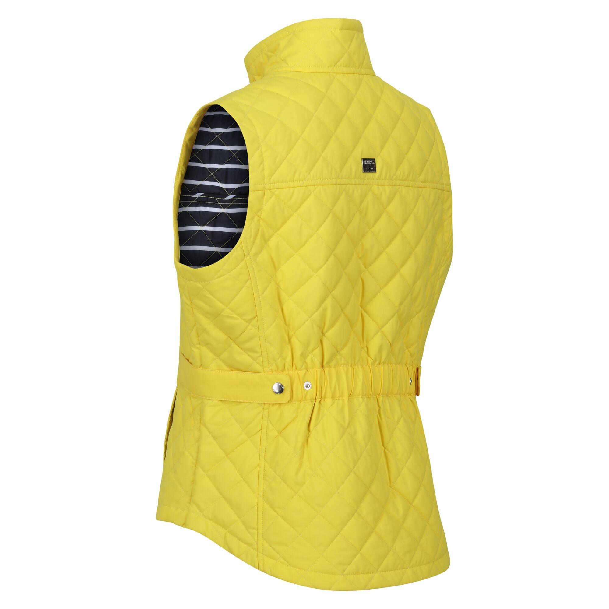 Womens/Ladies Carmine Gilet (Maize Yellow) 4/5