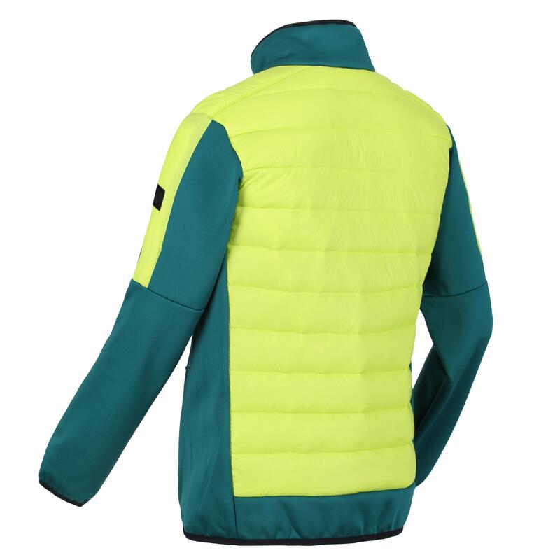 Veste isolée CLUMBER Homme (Sarcelle / Vert kaki clair)