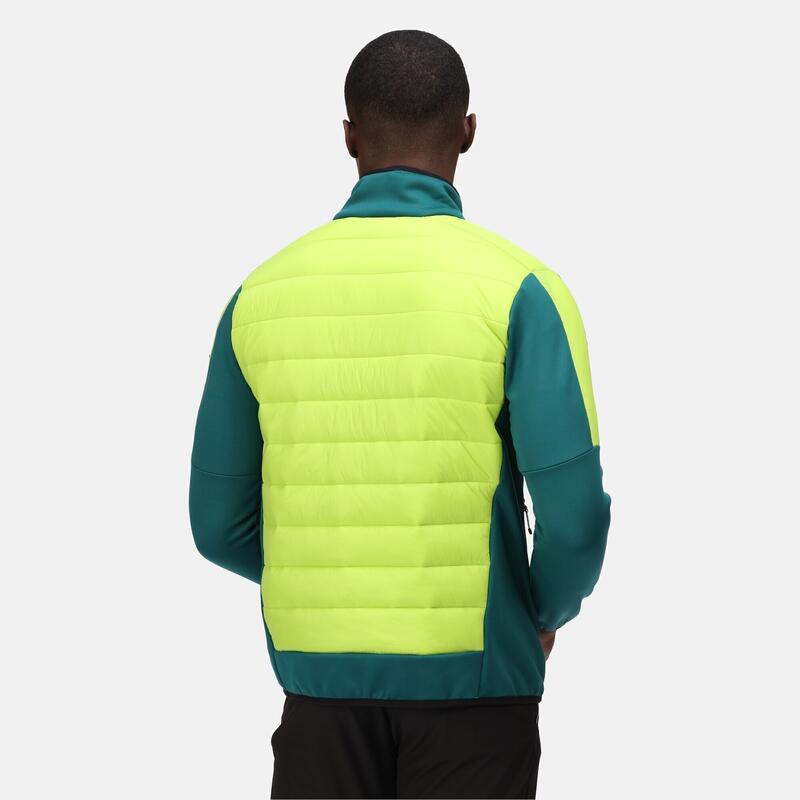 Veste isolée CLUMBER Homme (Sarcelle / Vert kaki clair)