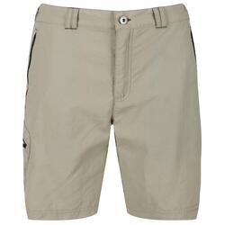 Short de marche LEESVILLE Homme (Beige)