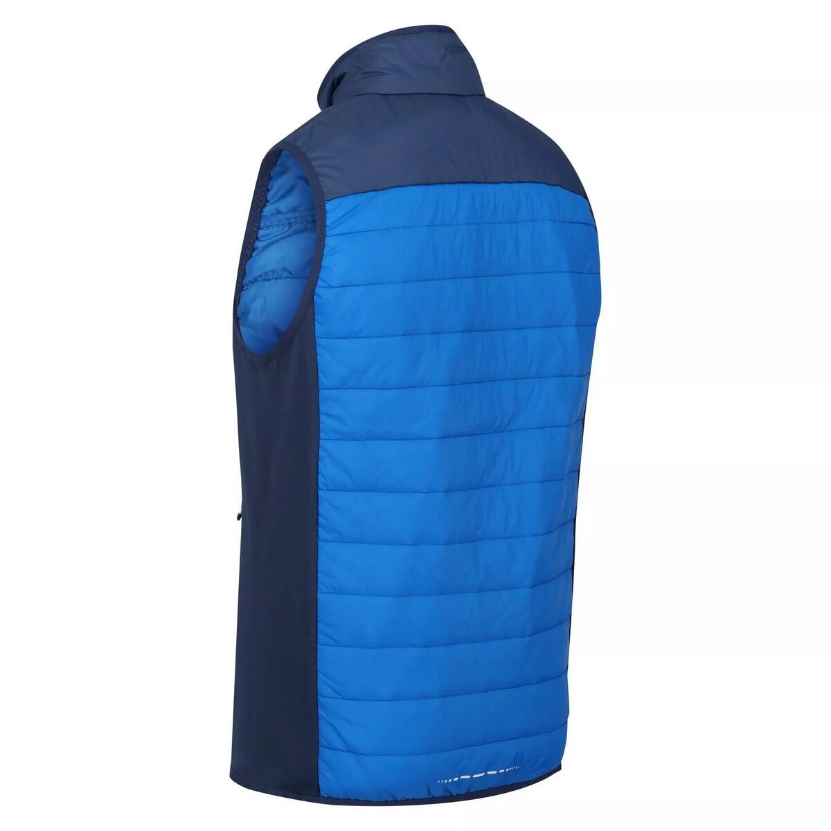 Veste Sans Manches HALTON Homme (Bleu Clair / Bleu Amiral) 4/5