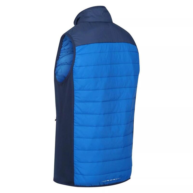 Gilet Imbottito Leggera Uomo Regatta Halton VI Blu Sky Diver Blu Ammiraglio