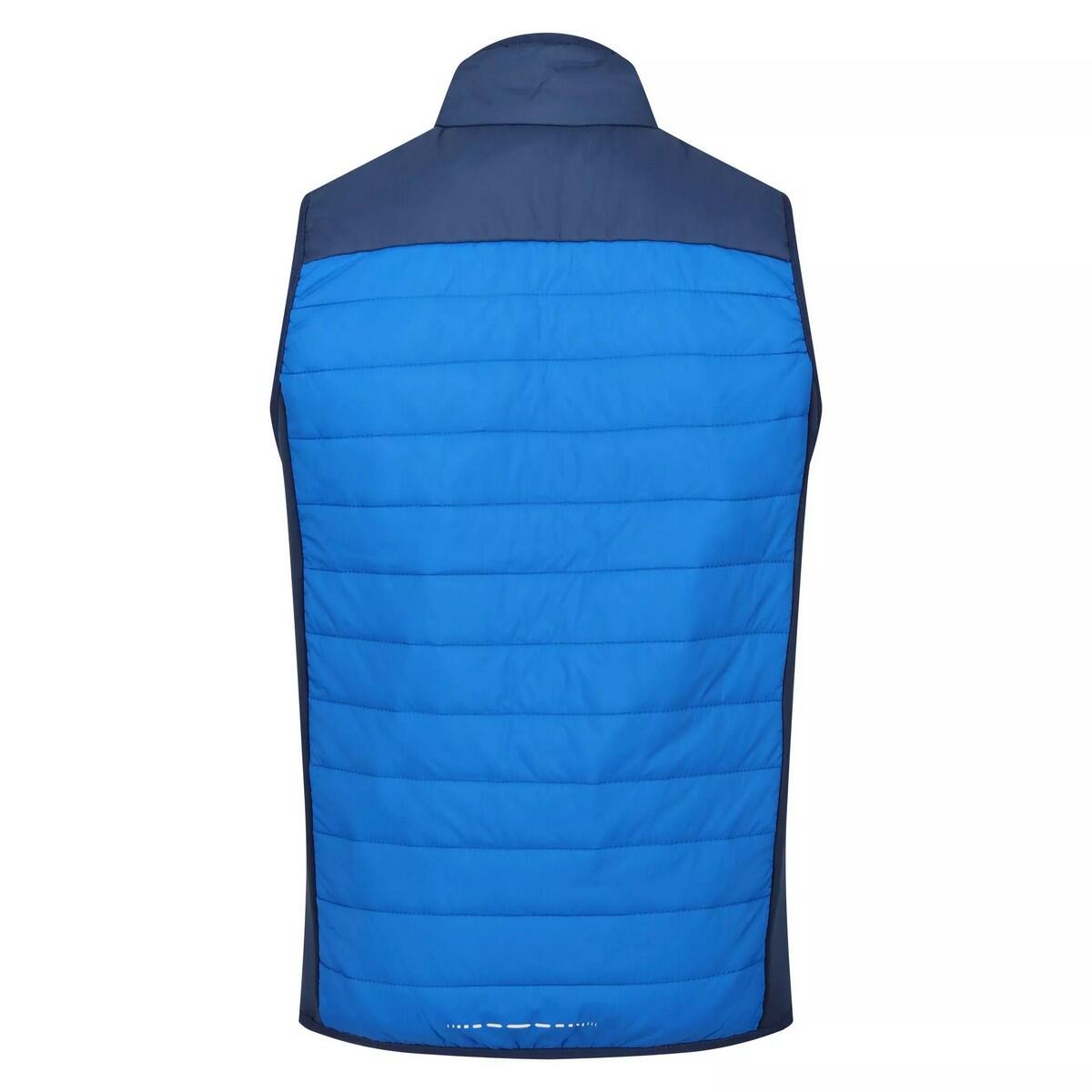 Veste Sans Manches HALTON Homme (Bleu Clair / Bleu Amiral) 2/5