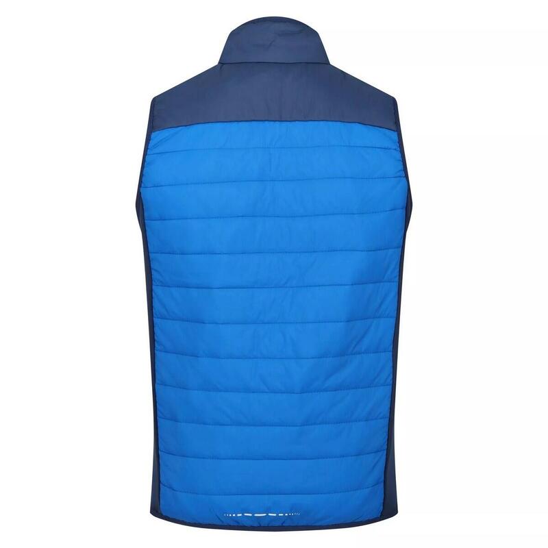 Gilet Imbottito Leggera Uomo Regatta Halton VI Blu Sky Diver Blu Ammiraglio