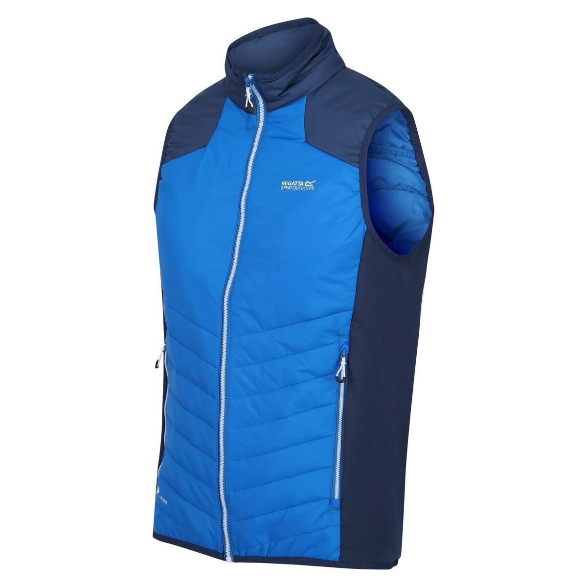Veste Sans Manches HALTON Homme (Bleu Clair / Bleu Amiral) 3/5