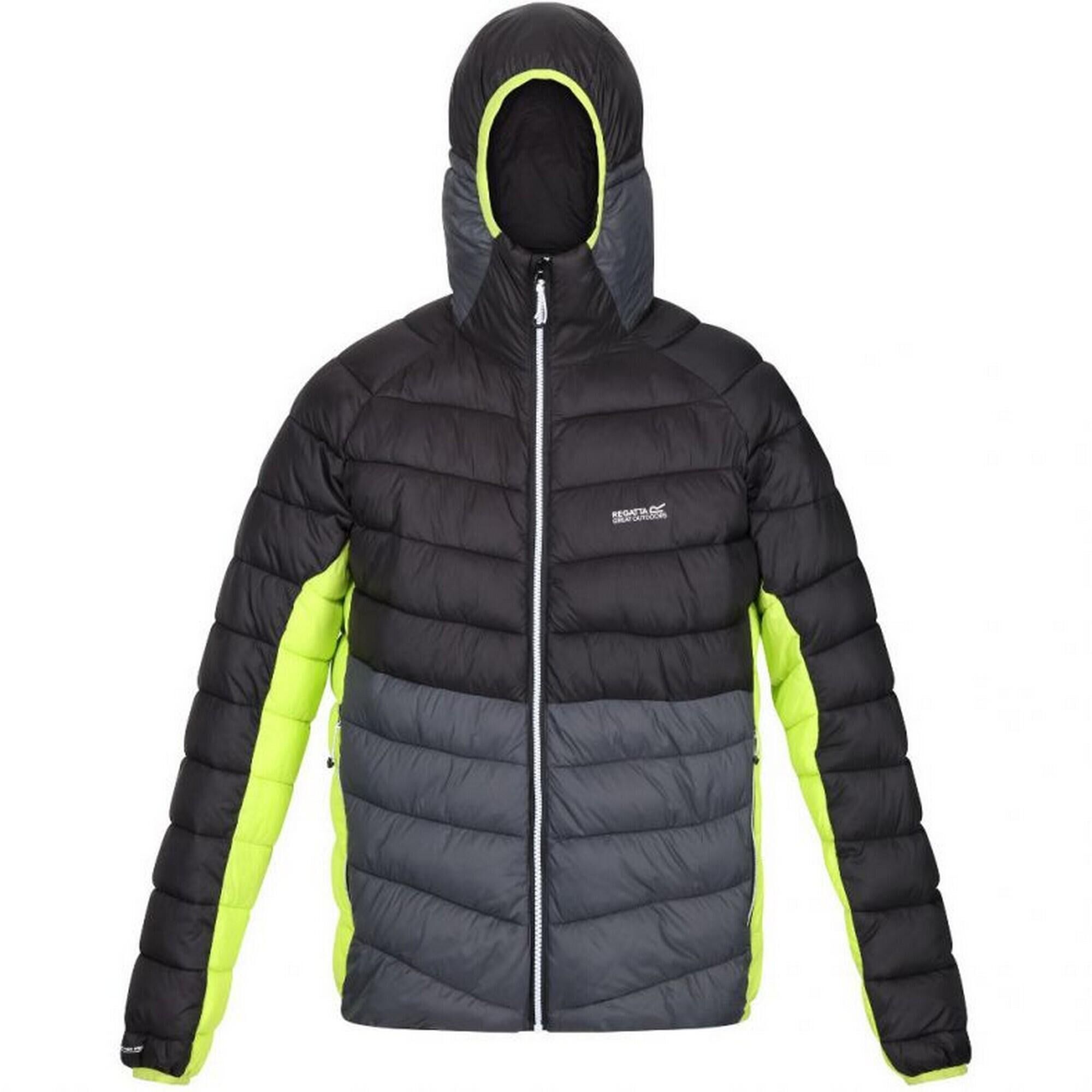 REGATTA Mens Harrock Puffer Jacket (Black/Dark Grey)