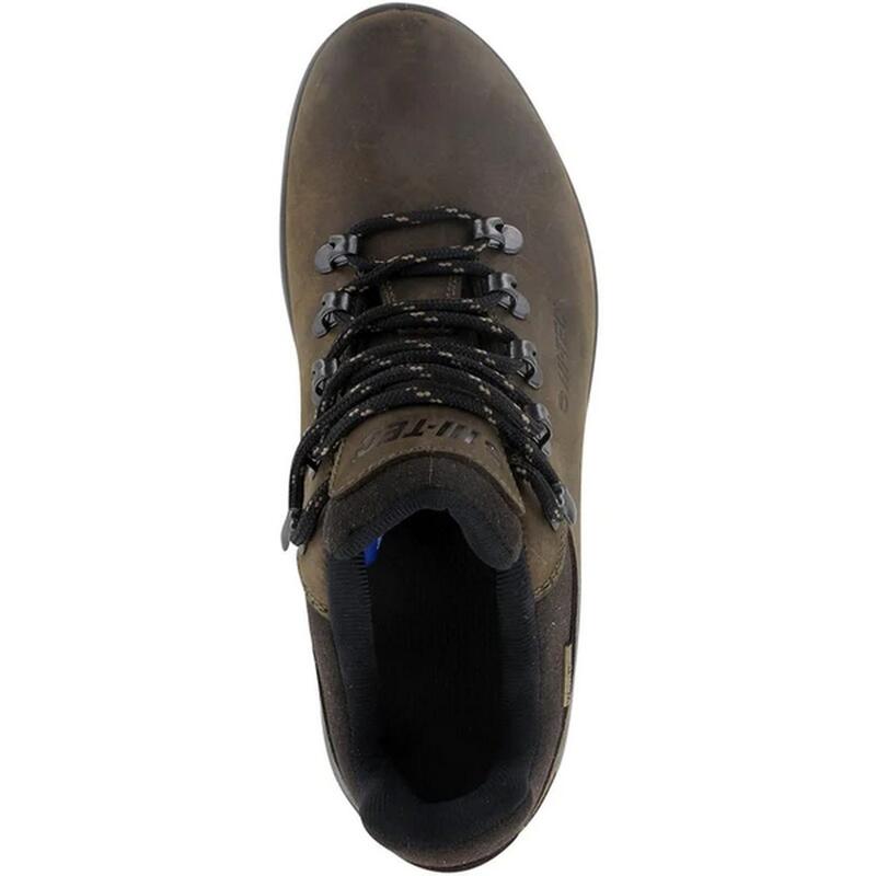 Chaussures WALK LITE CAMINO ULTRA Homme (Marron)