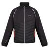 Chaqueta Softshell Steren Hybrid para Hombre Ceniza, Negro