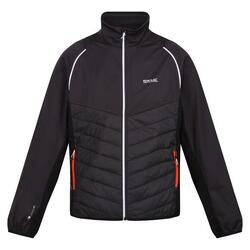 Chaqueta Softshell Steren Hybrid para Hombre Ceniza, Negro