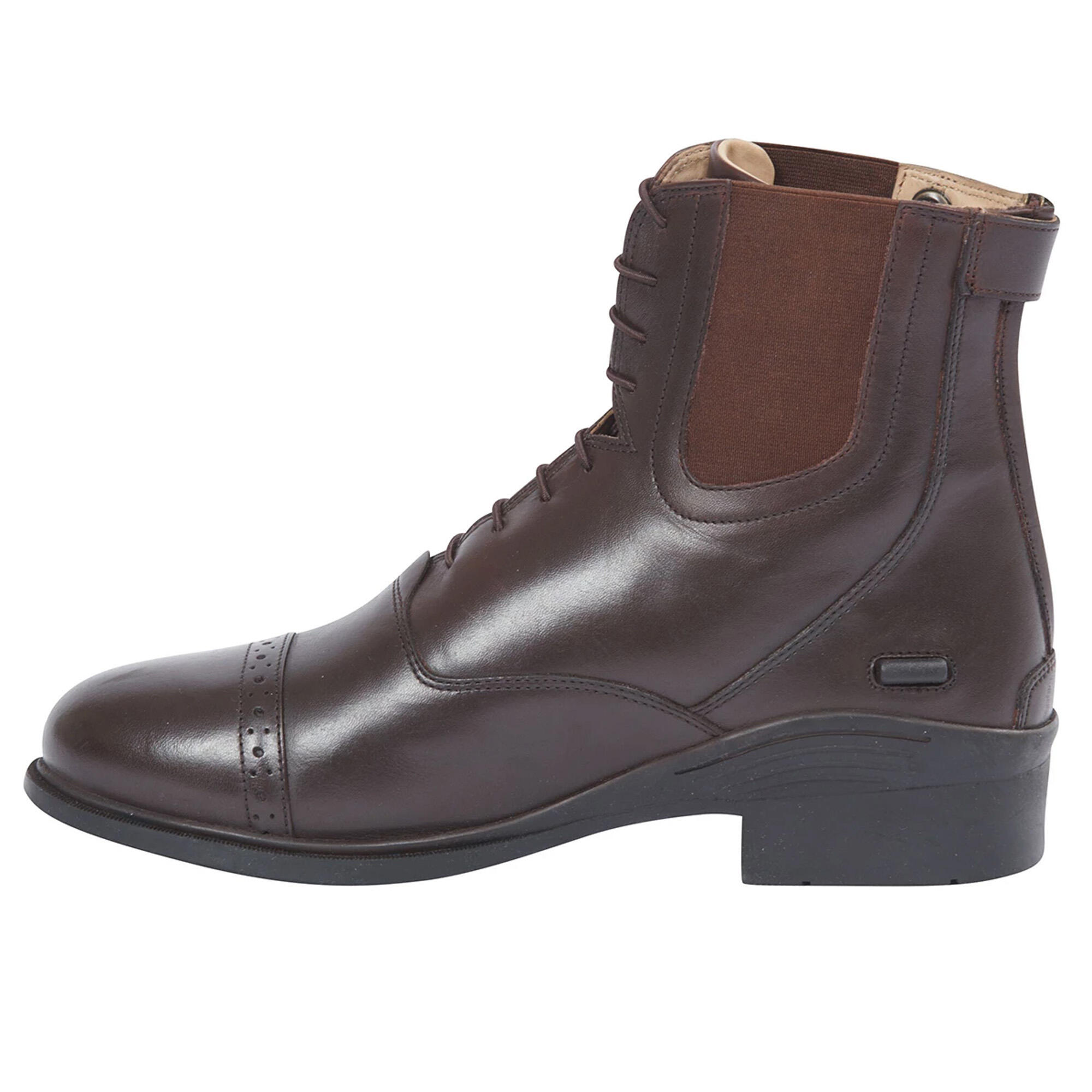 Bottes De Paddock EVOLUTION Unisexe (Marron) 3/7