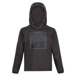 Sudadera Highton Montaña de Elasticidad Extol para Niños/Niñas Gris Oscuro