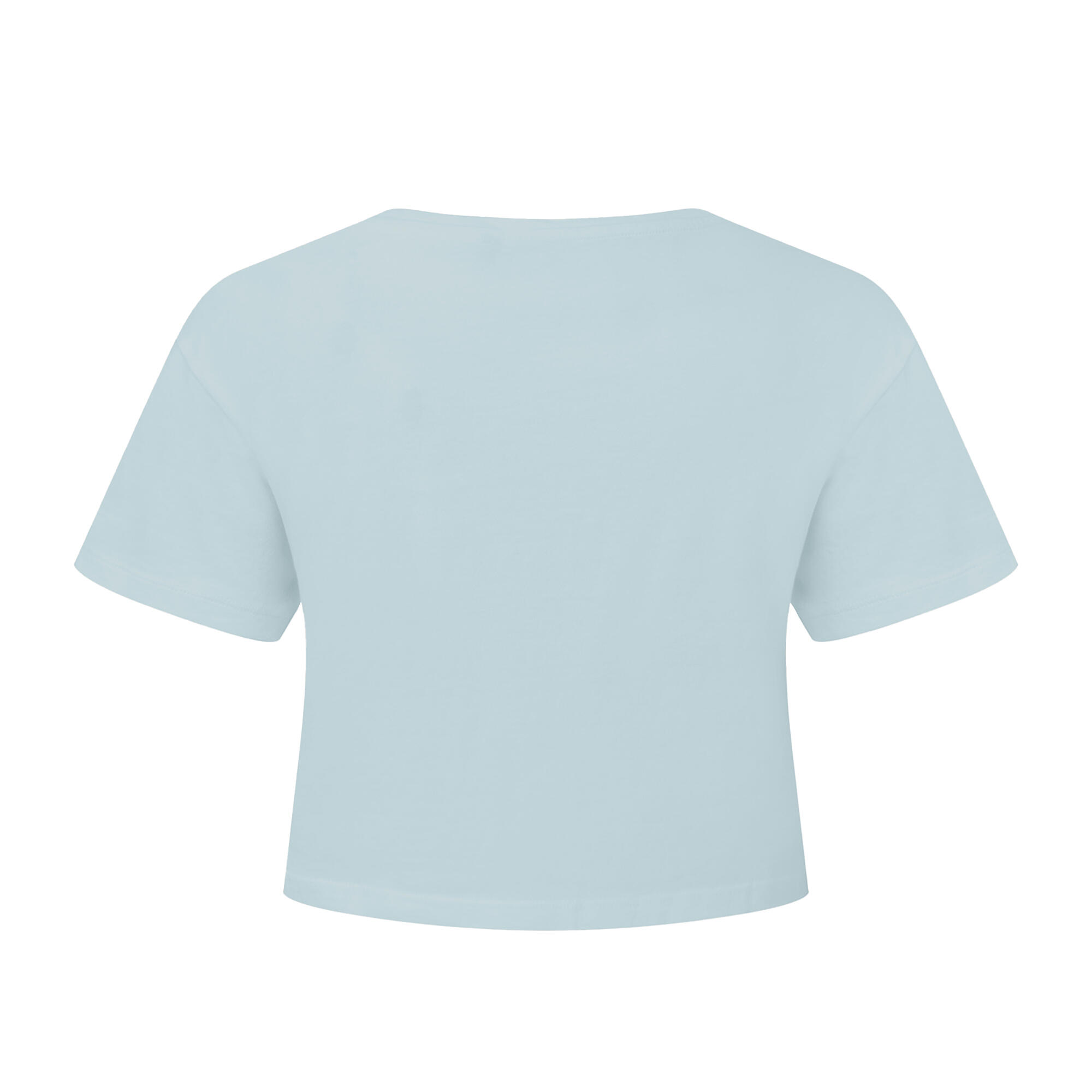 Womens/Ladies Crop Top (Sky Blue) 2/3
