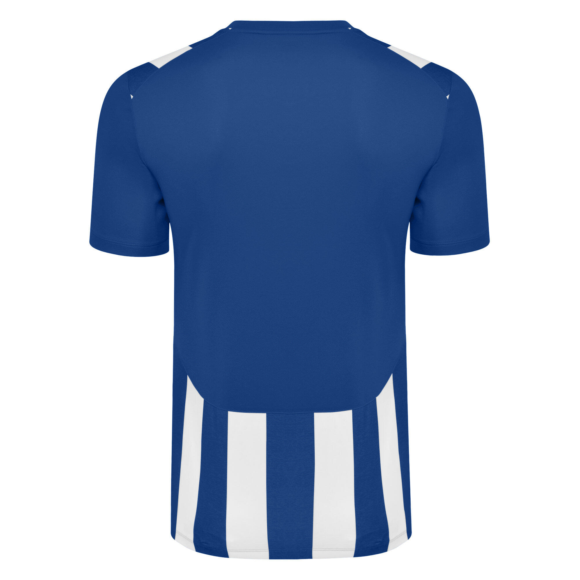 Childrens/Kids Ramone Jersey (Royal Blue/White) 2/4