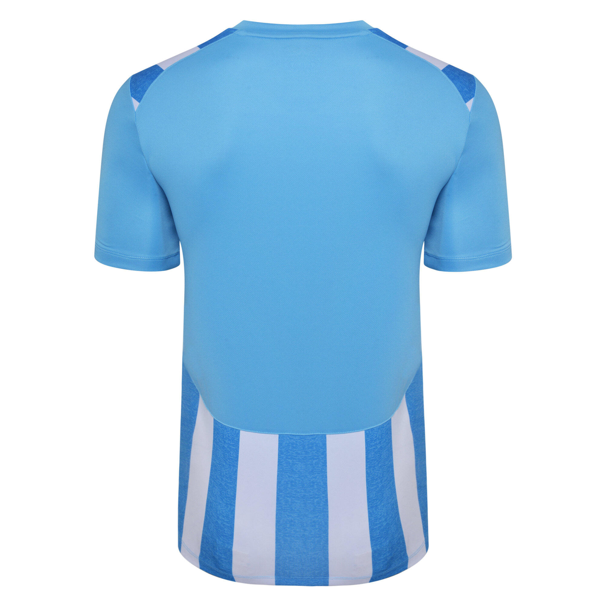 Childrens/Kids Ramone Jersey (Sky Blue/White) 2/3