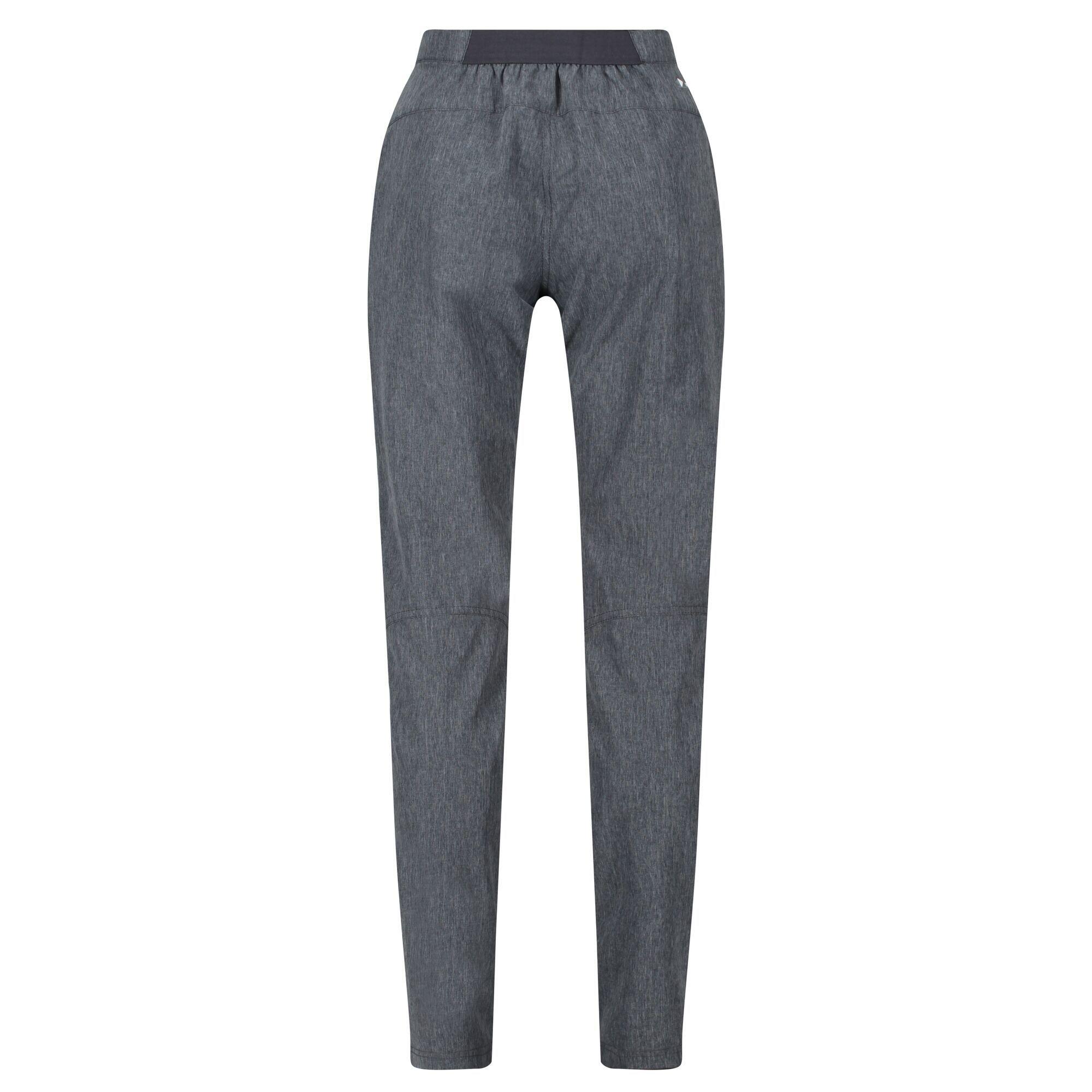 Women's PENTRE hiking pants (Grey)