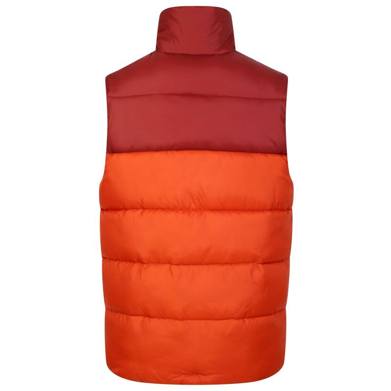 Gilet Imbottita Uomo Dare 2B City Tè Rooibos Marrone Scuro