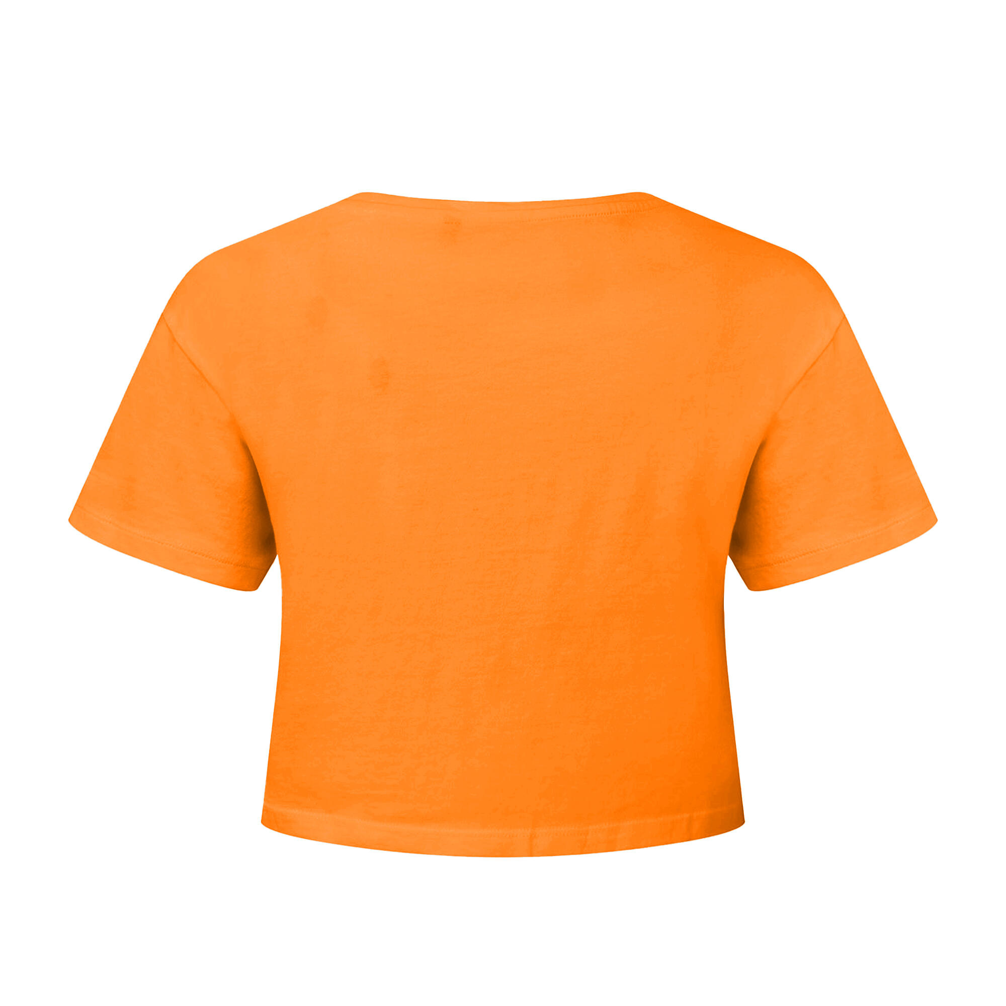 Womens/Ladies Crop Top (Orange) 2/3