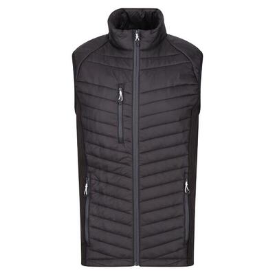 Heren gewatteerd hybride gilet (zwart/nieuw royal)