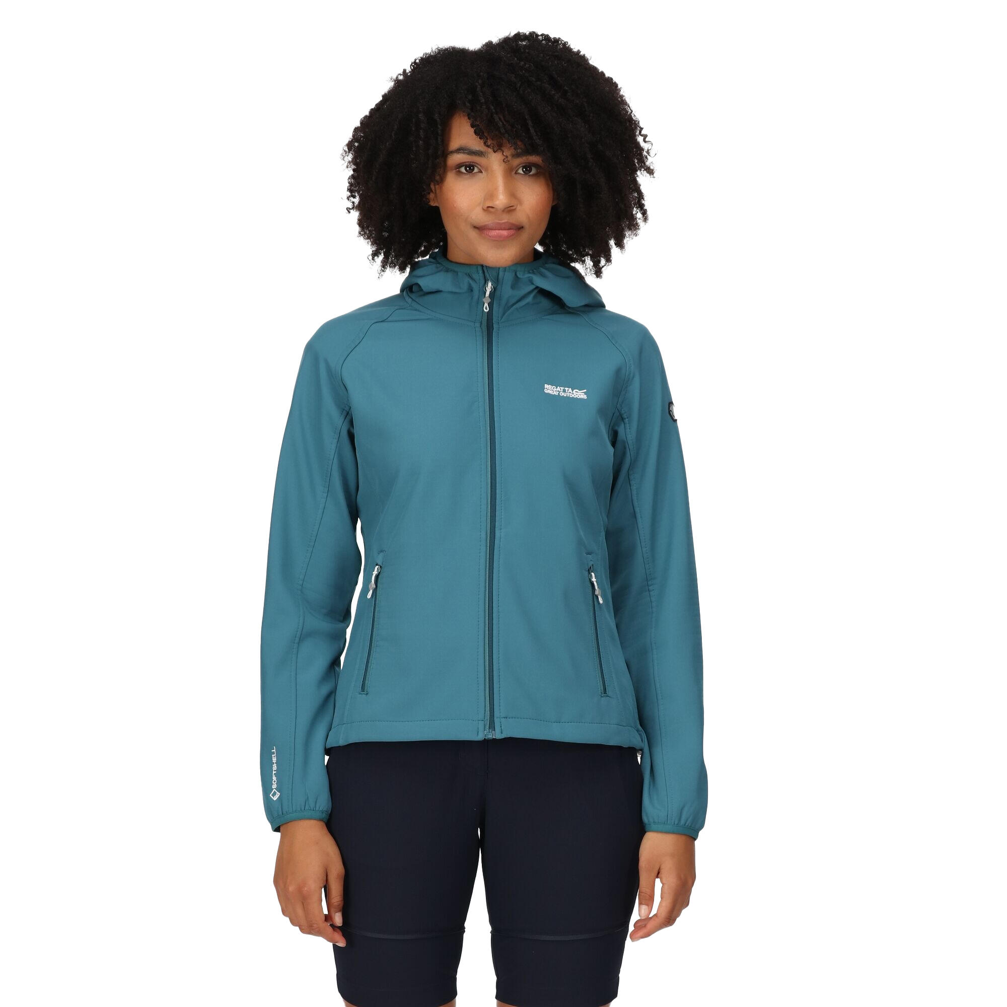Womens/Ladies Ared III Soft Shell Jacket (Dragonfly) 4/5