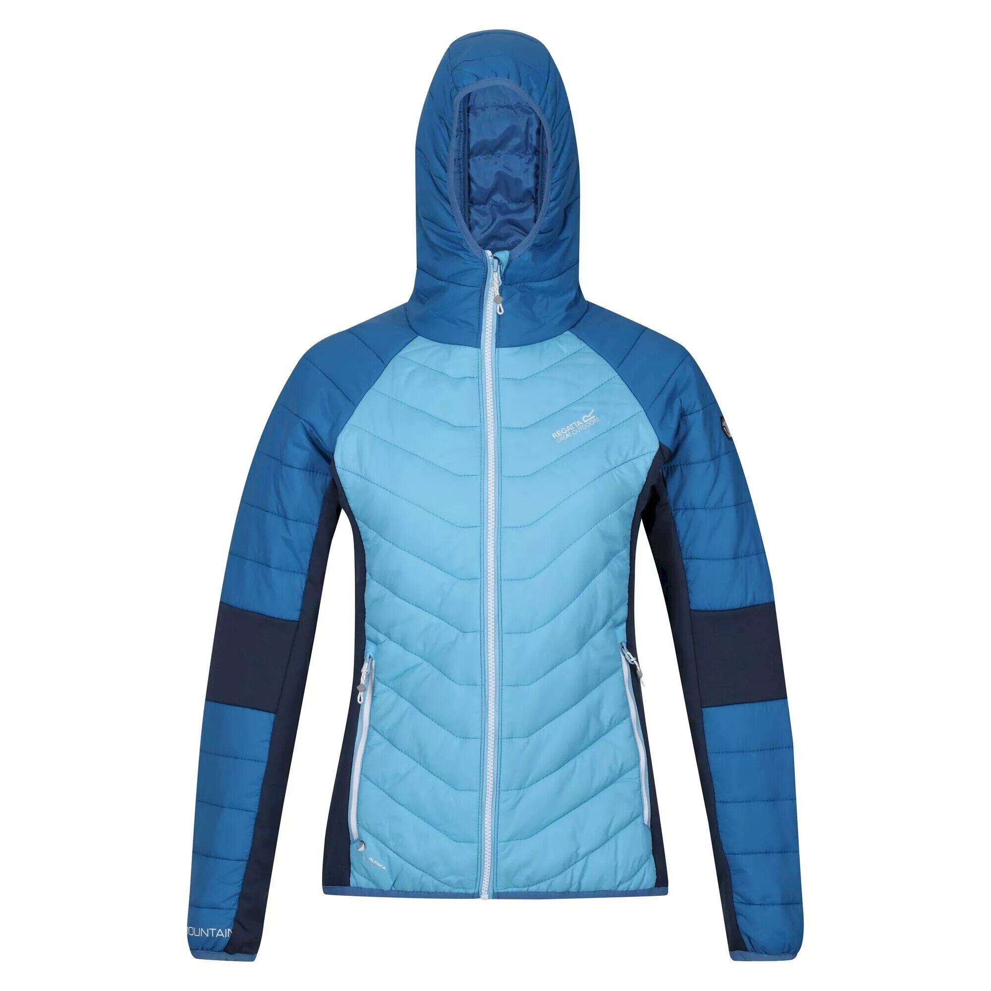 REGATTA Womens/Ladies Trutton Lightweight Padded Jacket (Ethereal Blue/Vallarta Blue)