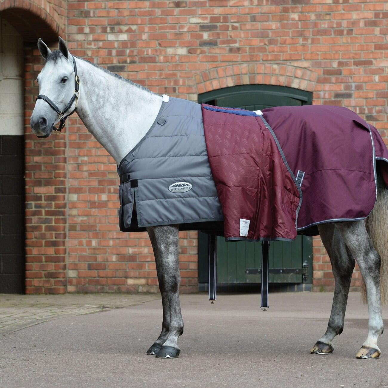 Comfitec Plus Dynamic II Detachable Neck Medium Lightweight Horse Turnout Rug 2/4