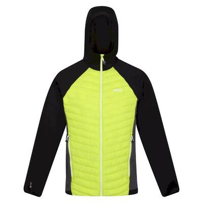 Giacca Leggera Uomo Regatta Andreson VII Hybrid Kiwi Brillante Nero