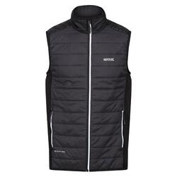 Heren Halton VII Gewatteerd Gilet (As/Zwart)