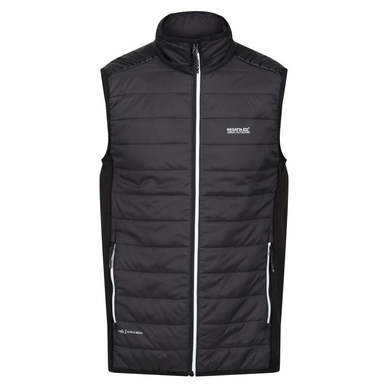 Gilet Imbottita Uomo Regatta Halton VII Cenere Nero