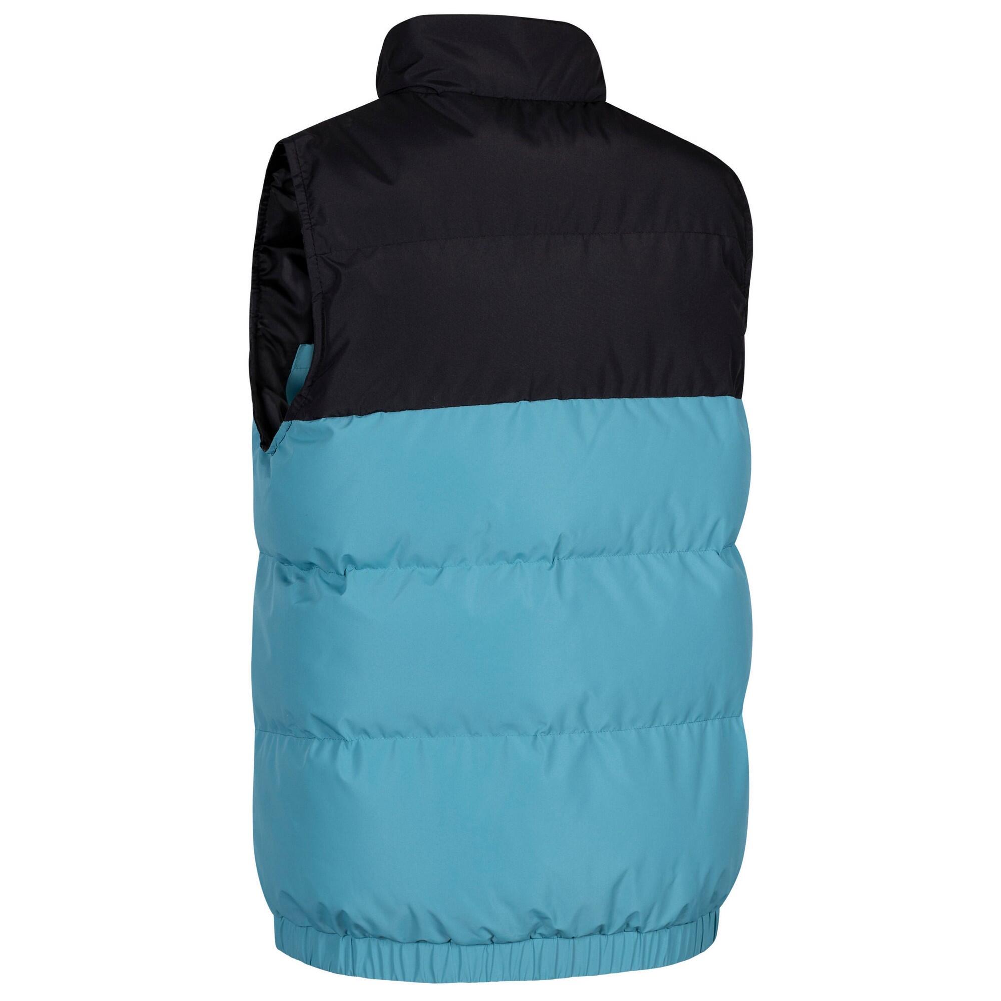 Dames Stony Gewatteerd Gilet (Storm Blauw) 2/3